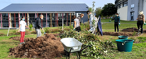 Des étudiant.e.s mettent en place un potager à l'IUT de La Roche-sur-Yon